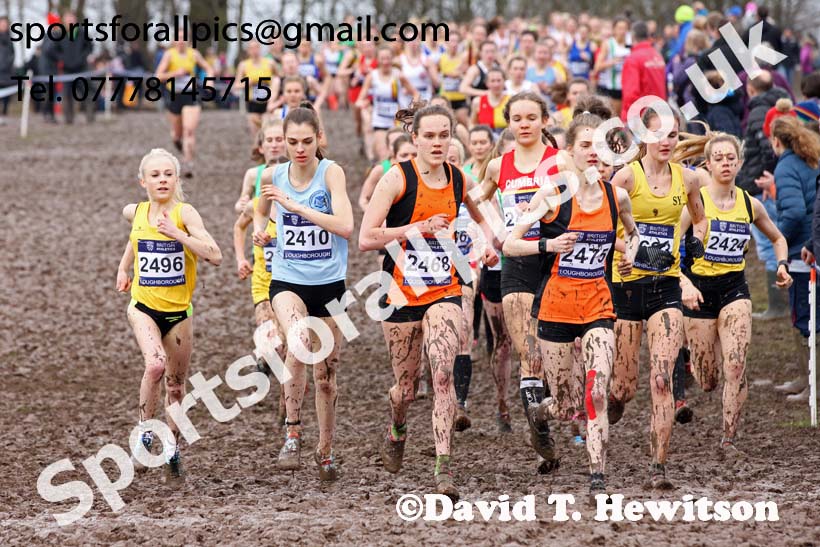 Womens under-20s 2018 British Inter Counties Cross Country Champs., Prestwold Hall, Loughborough. Photo: David T. Hewitson/Sports for All Pics